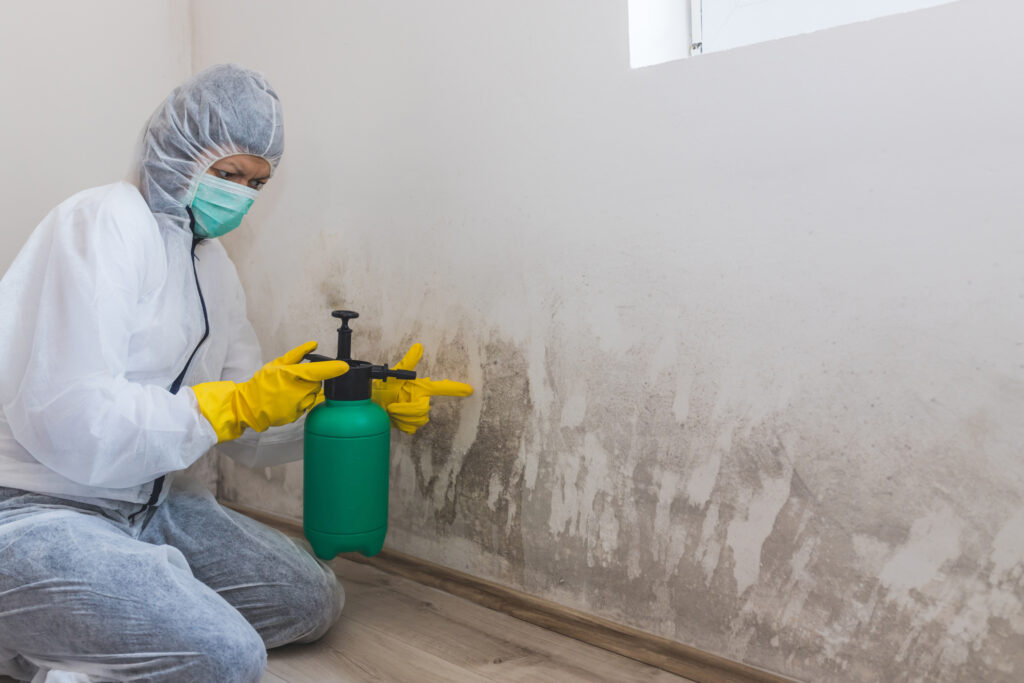 Mold Removal